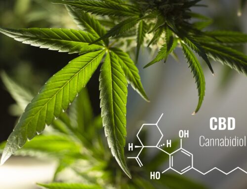 What the Endocannabinoid System, CBD’s positive effects on the body